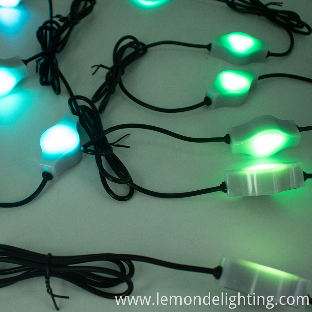 Solar-powered color-changing Christmas lights